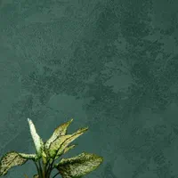 نقاشی ساختمان ،کاغذدیواری، میکروسمنت،پتینه|خدمات پیشه و مهارت|یزد, |دیوار