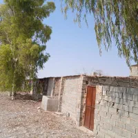 سوله ۶۰۰ متری|اجارهٔ دفتر صنعتی، کشاورزی، تجاری|نوبندگان, |دیوار