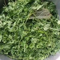 پاک کردن سبزی|فعالیت داوطلبانه|رشت, توشیبا|دیوار