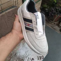 کفش کار تبریز|کیف، کفش، کمربند|مراغه, |دیوار