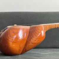 تار جلیل صالحی|سازهای سنتی|تهران, بهار|دیوار