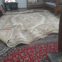 فرش ۱۲ متری سالم|فرش|فریدونکنار, |دیوار