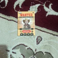 رویال هلند|کلکسیون و سرگرمی|دزفول, |دیوار