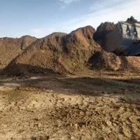 کود گاوی صنعتی|خدمات باغبانی و درختکاری|قزوین, |دیوار