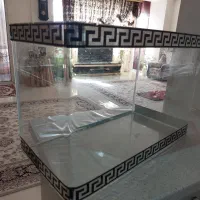 آگواریوم شیشه خم|ماهی|فردیس, منظریه|دیوار