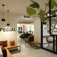 اجاره لاین مژه