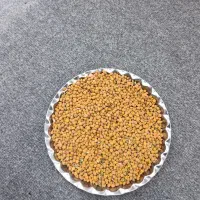 نخود تازه