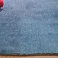 پلاز موکت|موکت|الیگودرز, |دیوار