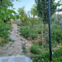 باغ ده شیخ ده کیلومتری شیراز|فروش زمین و ملک کلنگی|شیراز, شهرک امیر کبیر|دیوار