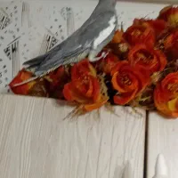 عروس هلندی|پرنده|رشت, کوی فکوری|دیوار