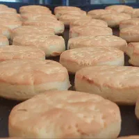 ۱۲ شب چهارفصل امام خمینی نرسیده ب دانش