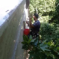 پیچ رولپلاک نما شستشو نصب توری راپل بدون داربست|خدمات پیشه و مهارت|خرمآباد, |دیوار