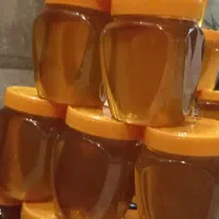 عسل گون اصلی ساکروز زیر ۳ بومی کرمانشاه|خوردنی و آشامیدنی|کاشان, ملاصدرا|دیوار