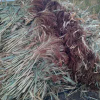 جارو|لوازم نظافت|زنجان, |دیوار