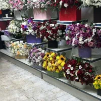 باکس گل طبیعی باکس گل تبریک ارسال گل سبد