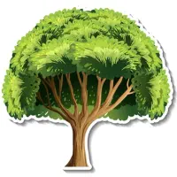 کود تضمینی تقویتی