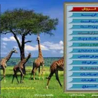 حسابداری پاتریس
