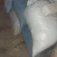 کود کبوتر