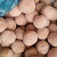 کلگ بلوط تازه و تمیز