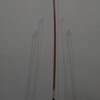 ویولنسل tf142|ویولن|تهران, قبا|دیوار