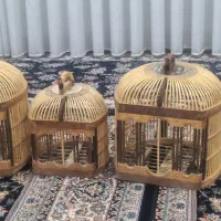 سه تا قفس کبک نو