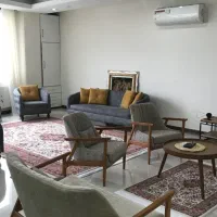 فرش ۹ متری و یک قالیچه با همان نقشه درحد نو|فرش|بیجار, |دیوار