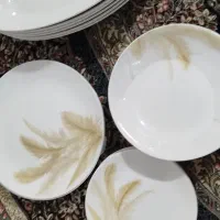 ظروف اوپال