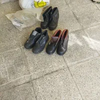 ایمنی جنس عالی