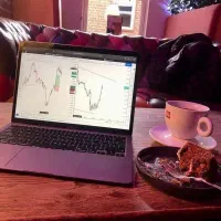 فقط سرمایه گزار خانم سرمایه گزاری کم ریسک