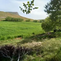 فروش-زمین-کشاورزی-کلتپه-قرمیش