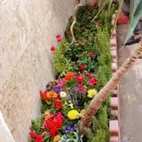 نظافت منزل آقاهستم