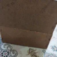 لونه عروس هلندی