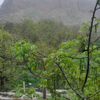 اپارتمان نزدیک به رودخانه