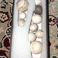 سنگ مهره کهنه