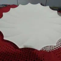 ظ ر و ف ا ش پ ز خ ا ن ه