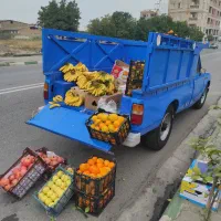 نیسان مدل ۷۹|خودرو سواری و وانت|گرگان, |دیوار