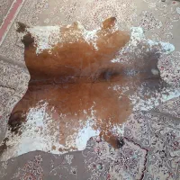 پوست گاو|صنایع دستی و سایر لوازم تزئینی|بیستون, |دیوار