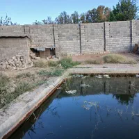 باغ-قدیمی-باپروانه-ساختمان