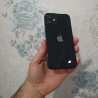 iPhone 12 normal