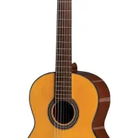 استخدام گیتاریست و خواننده