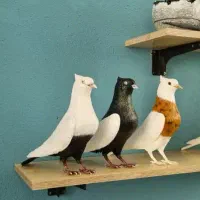 کارگر ساده|استخدام خدمات فروشگاه و رستوران|بندر دیر, |دیوار