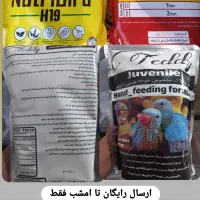 فروش  سرلاک ایرانی