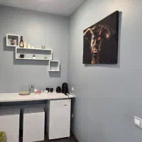 اجاره سوییت|اجارهٔ کوتاه‌مدت آپارتمان و سوئیت|توتکابن, |دیوار