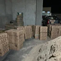 ذغال بامبو برش خورده|عمده‌فروشی|قزوین, |دیوار