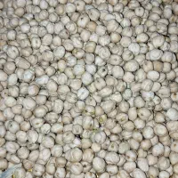 نخود آبگوشتی درجه یک|خوردنی و آشامیدنی|دوزین, |دیوار