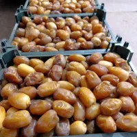 رطب درجه یک  عسلی بدون رگ سفارشی