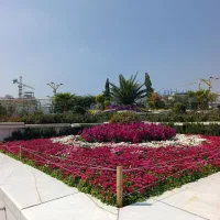 مغازه-تجاری-به-قیمت-کاسبی-و-ساخت
