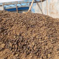 کود گوسفندی درجه یک کاملا خشک