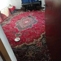 فرش|فرش|کنگاور, |دیوار