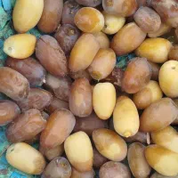 شیرین و مقوی ر. ط. ب|خوردنی و آشامیدنی|شیراز, شاهچراغ|دیوار